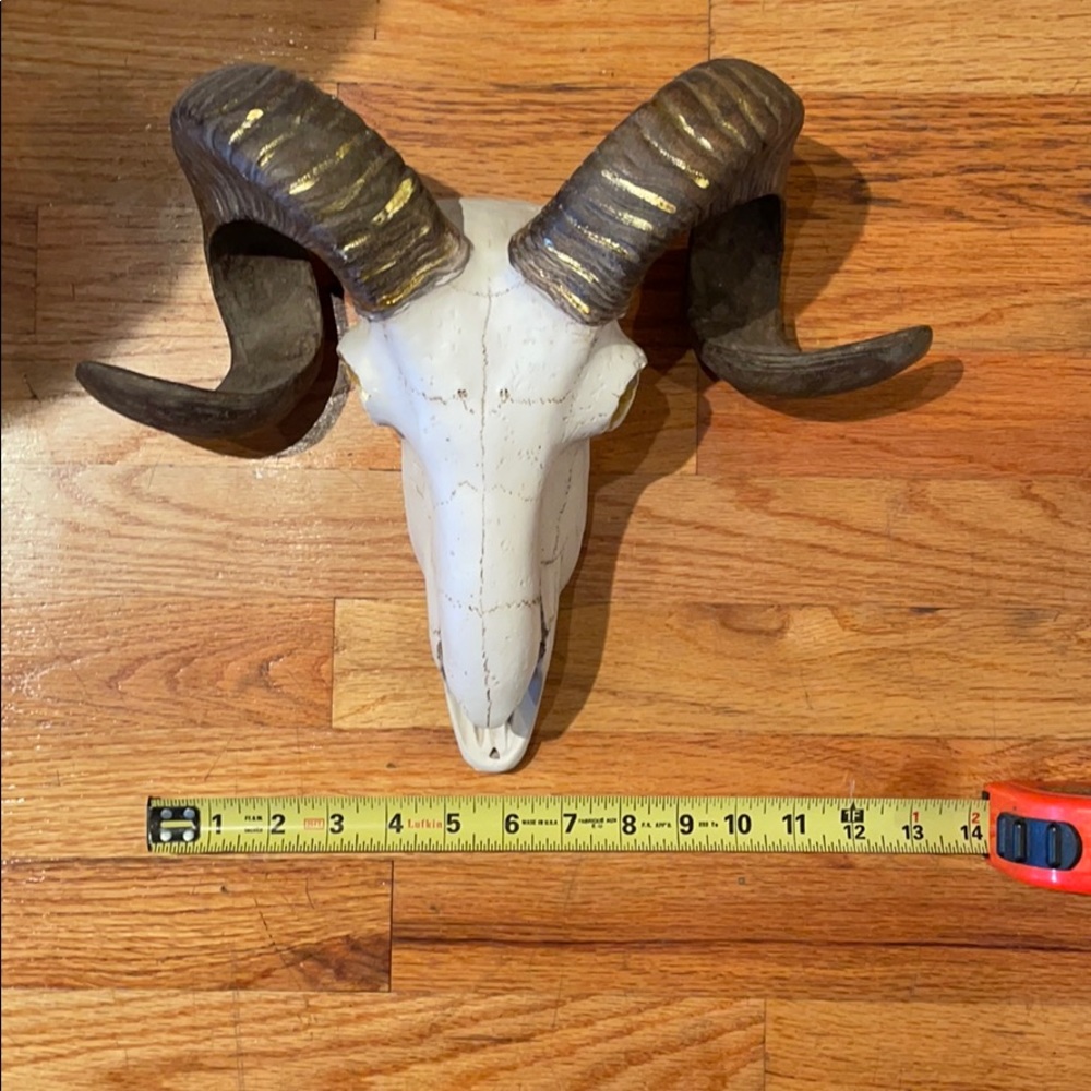 Decorative skull head